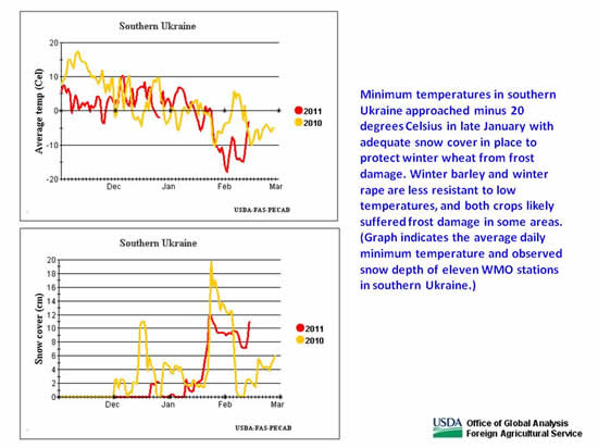 Minimum temperatures in southern Ukraine approached minus 20 degrees Celsius in late January with adequate snow cover in place to protect winter wheat from frost damage. Winter barley and winter rape are less resistant to low temperatures, and both crops likely suffered frost damage in some areas.