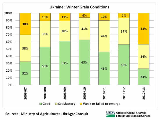 According to a report from the Ministry of Agriculture, 43 percent of the sown area for 2012/13 winter crops is either in weak condition or failed to germinate.  Conditions are the worst since 2003, when two-thirds of Ukraine's winter crops failed to survive the winter.