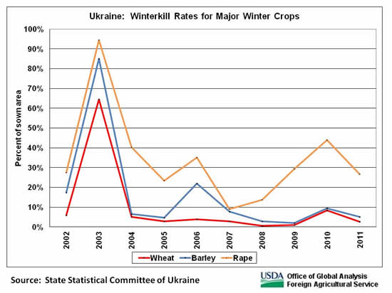 The winterkill rate for rape is always higher, and frequently significantly higher, than the rate for wheat.
