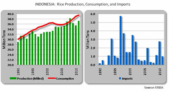 Indonesia_rice_Mar2012