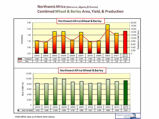 Graph showing area, yield, and production fluctuations in Northwest Africa over the last 11 years.