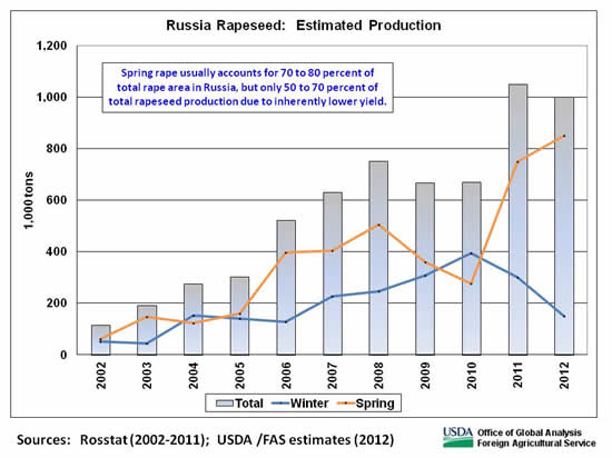Spring rape usually accounts for 70 to 80 percent of total rape area in Russia, but only 50 to 70 percent of total rapeseed production due to inherently lower yield.