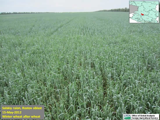 Many fields looked better from a distance than from close up.
