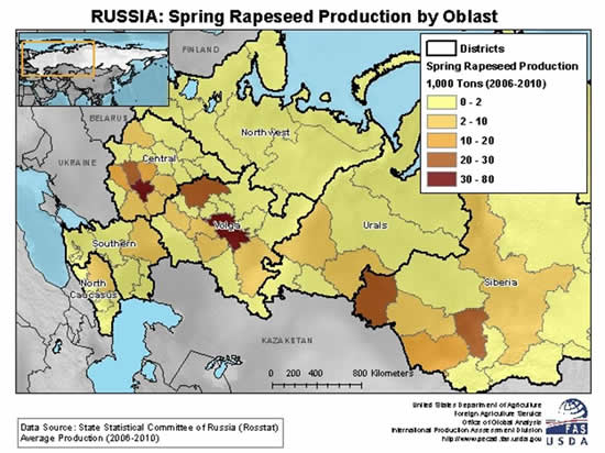 Spring rape is grown in every major crop-production region of Russia.