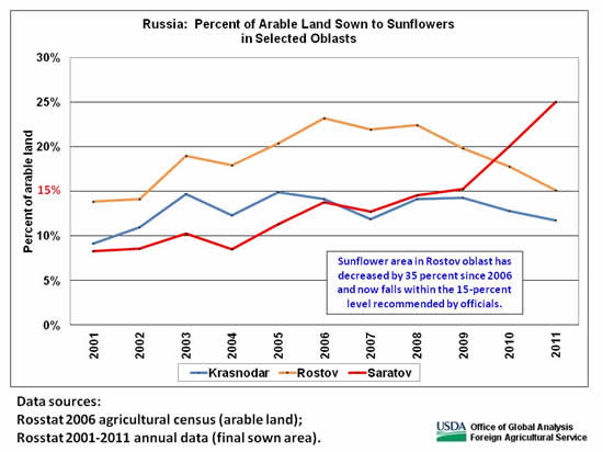 Sunflowers occupy about 25 percent of arable land in Saratov oblast against  the 15-percent  level recommended by officials.