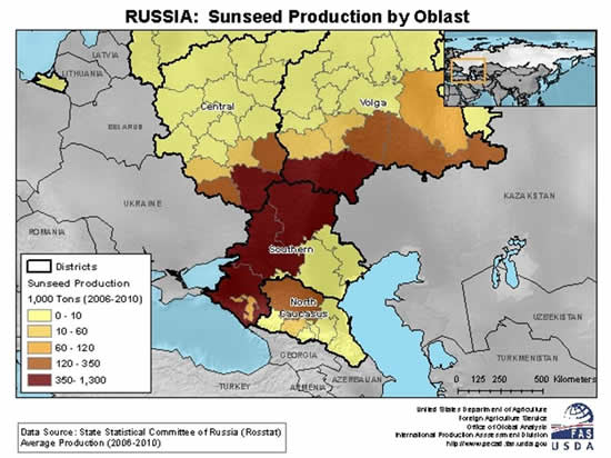 Russia's sunflower zone extends from extreme southern Russia to the central Volga Valley.