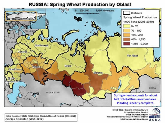 Russia's spring wheat is grown in the Siberian, Volga, and Ural Districts.