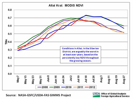 Conditions in Altai, in the Siberian District, are arguably the worst in at least over years, based on the persistently low NDVI throughout the growing season.