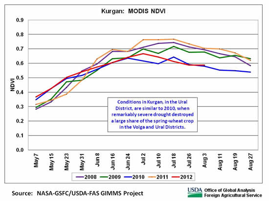 Conditions in Kurgan, in the Ural District, are similar to 2010, when remarkably severe drought destroyed a large share of the spring-wheat crop in the Volga and Ural Districts.