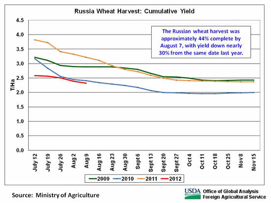 The Russian wheat harvest was approximately 44 percent complete by August 7, with yield down nearly 30 percent from the same date last year.