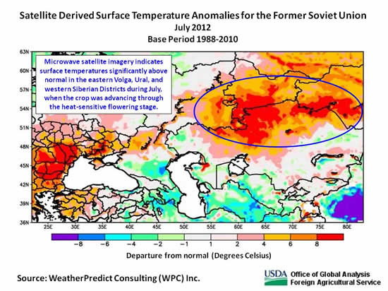 Microwave satellite imagery indicates surface temperatures significantly above normal in the eastern Volga, Ural, and western Siberian Districts during July, when the crop was advancing through the heat-sensitive flowering stage. 