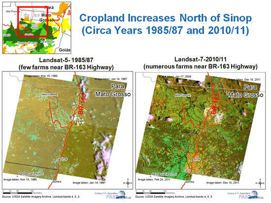 Landsat imagery reveals cropland increased north of Sinop, Brazil during the past 25-years.