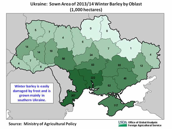 Winter barley is easily damaged by frost and is grown mainly in southern Ukraine.