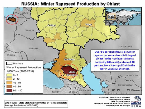 Over 50 percent of Russia’s winter rape output comes from Kaliningrad oblast (in the Northwest District bordering Lithuania) and about 40 percent from Stavropol Krai (in the North Caucasus District).
