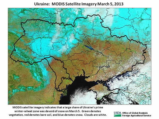 MODIS satellite imagery indicates that a large share of Ukraine’s prime winter-wheat zone was devoid of snow on March 5.