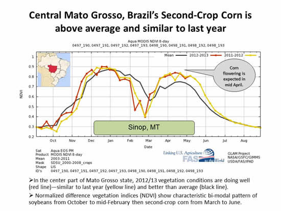 Sinop, Brazil NDVI chart Central Mato Grosso, Brazil’s Second-Crop Corn is above average and similar to last year