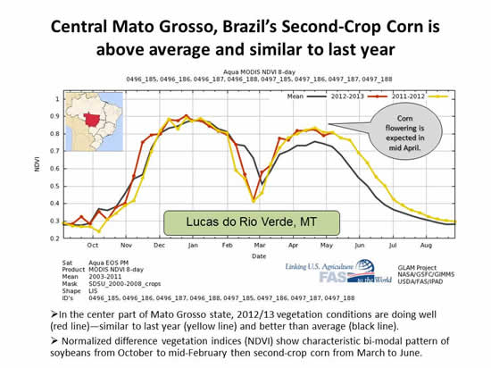 Lucas do Rio Verde NDVI chart Central Mato Grosso, Brazil’s Second-Crop Corn is above average and similar to last year