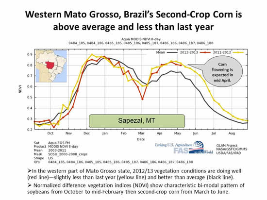 Sapezal, Brazil NDVI chart Western Mato Grosso, Brazil’s Second-Crop Corn is above average and less than last year