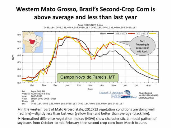 Campo Novo do Parecis NDVI chart Western Mato Grosso, Brazil’s Second-Crop Corn is above average and less than last year