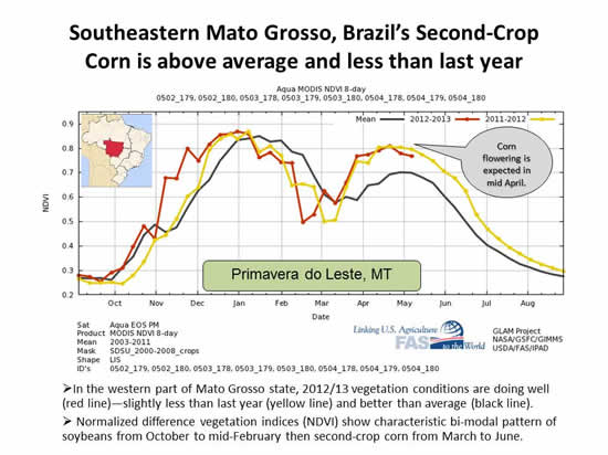 Primavera do Leste NDVI chart Southeastern Mato Grosso, Brazil’s Second-Crop Corn is above average and less than last year
