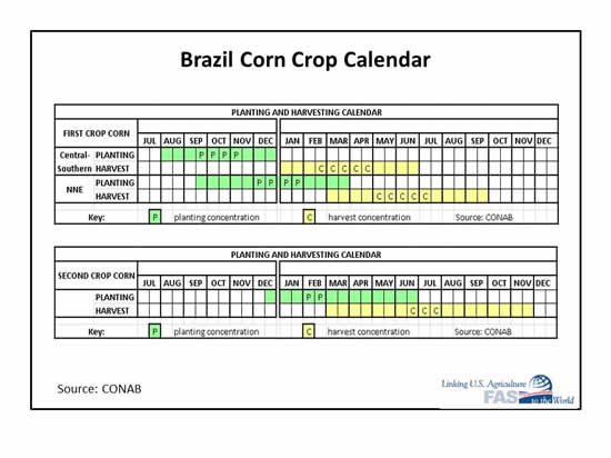 Brazil Corn Crop Calendar