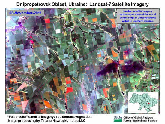 Landsat satellite imagery indicates poor establishment of winter crops in Dnipropetrovsk oblast in southern Ukraine.
