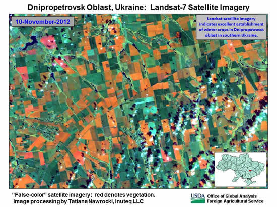 Landsat satellite imagery indicates excellent establishment of winter crops in Dnipropetrovsk oblast in southern Ukraine.