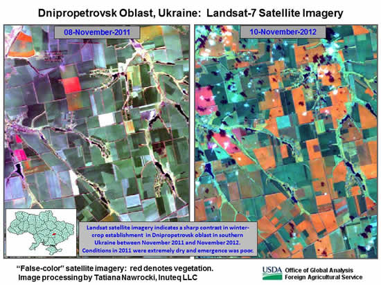 Landsat satellite imagery indicates a sharp contrast in winter-crop establishment  in Dnipropetrovsk oblast in southern Ukraine between November 2011 and November 2012.  Conditions in 2011 were extremely dry and emergence was poor.