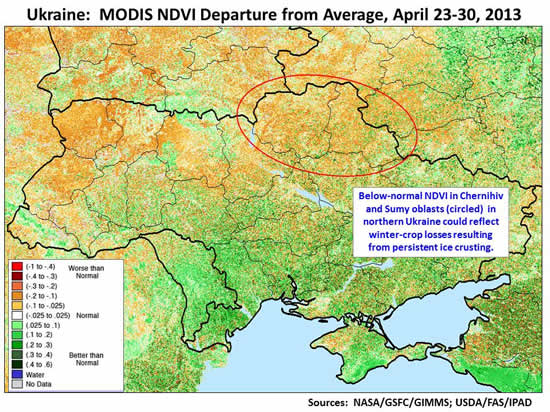 Below-normal NDVI in Chernihiv and Sumy oblasts  in northern Ukraine could reflect winter-crop losses resulting from persistent ice crusting.