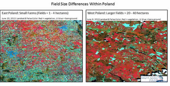 Landsat 8 image showing field size variances (in general, larger in west, smaller in east)