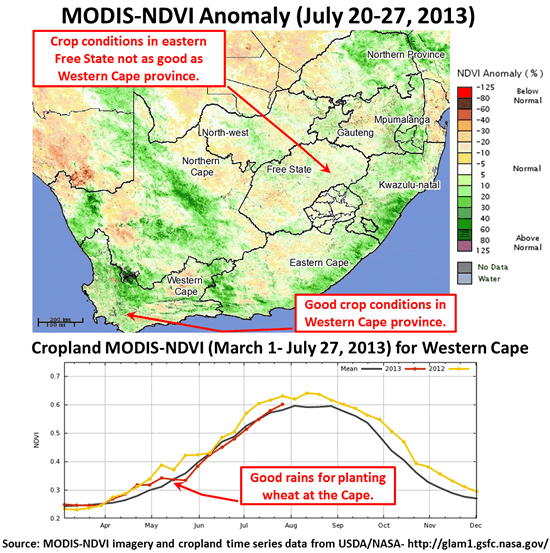 Figure 1. MODIS-NDVI Anomaly image from July 20-27, 2013 indicate good crop establishment for wheat in the Western Cape province and less than favorable planting conditions for the Free State. 