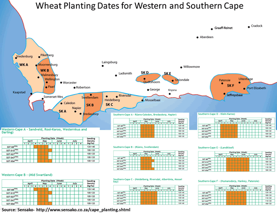 Wheat planting dates for South Africa’s western and southern Cape (from Sensako)