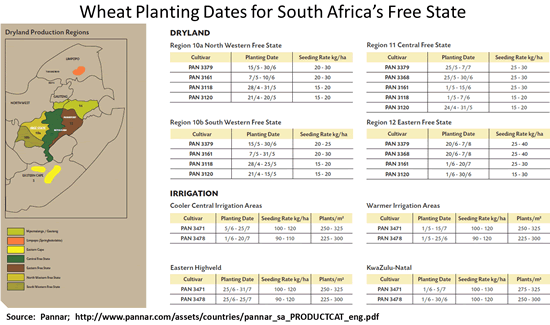 Wheat planting dates for South Africa’s Free State (from Pannar)