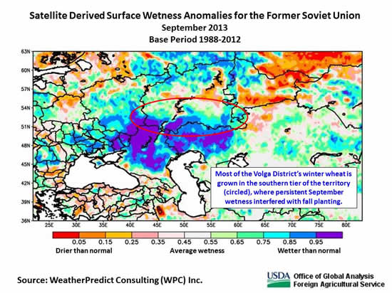 Most of the Volga District’s winter wheat is grown in the southern tier of the territory, where persistent September wetness interfered with fall planting.