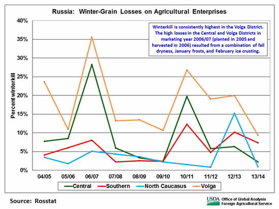 Winterkill is consistently highest in the Volga District.  The high losses in the Central and Volga Districts in marketing year 2006/07 (planted in 2005 and harvested in 2006) resulted from a combination of fall dryness, January frosts, and February ice crusting.