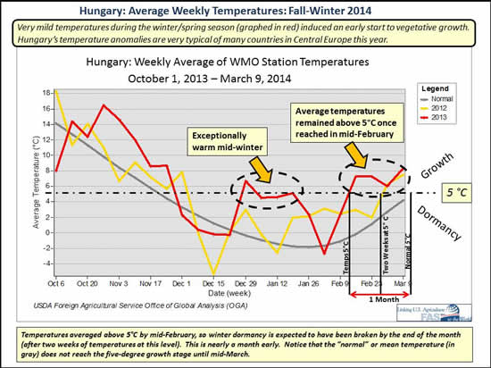 Hungary: Average Weekly Temperatures: Fall-Winter 2013-2014; Temperatures averaged above 5°C by mid-February, so winter dormancy is expected to have been broken by the end of the month (after two weeks of temperatures at this level).  This is nearly a month early.  Notice that the “normal” or mean temperature (in gray) does not reach the five-degree growth stage until mid-March.