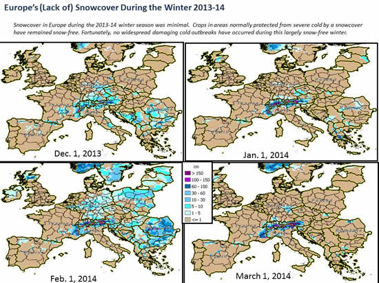 Snowcover in Europe during the 2013-14 winter season was minimal.  Fortunately, no widespread damaging cold outbreaks have occurred during this largely snow-free winter.