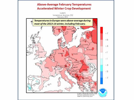 Above-Average February Temperatures Accelerated Winter Crop Development