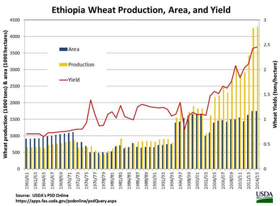 Ethiopia Wheat Production, Area and Yield