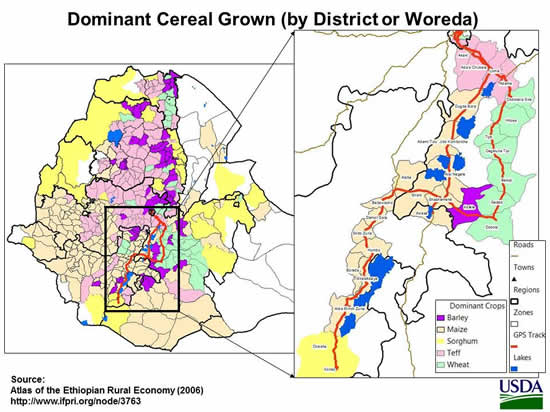Dominant Cereal Grown (by District or Woreda)