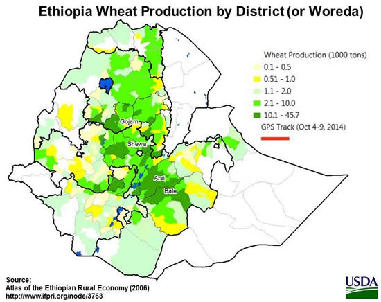 Ethiopia Wheat Production by District