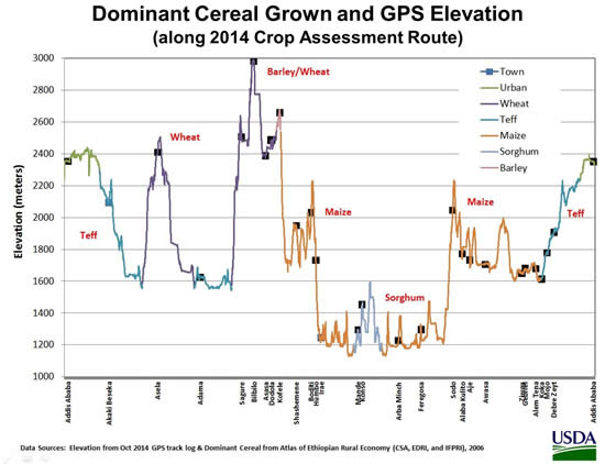 Dominant Cereal Grown and GPS Elevation Profile