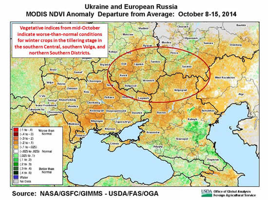 Vegetative indices from mid-October indicate worse-than-normal conditions for winter crops in the tillering stage in the southern Central, southern Volga, and northern Southern Districts.