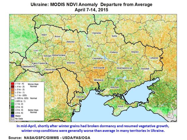 In mid-April, shortly after winter grains had broken dormancy and resumed vegetative growth, winter-crop conditions were generally worse than average in many territories in Ukraine.  