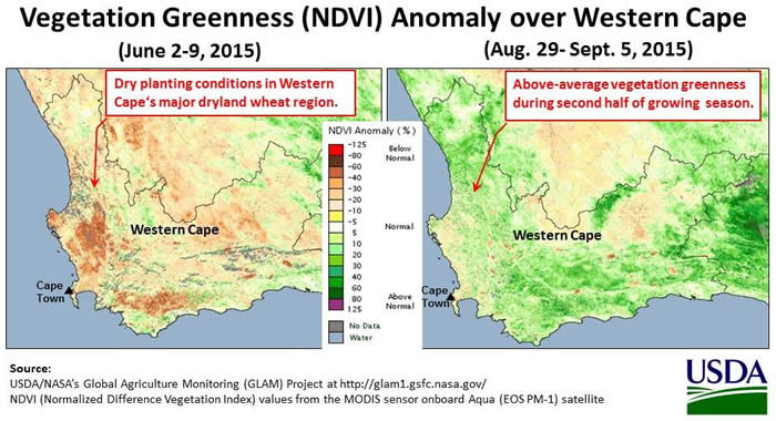 Vegetation Greenness (NDVI) Anomaly for Western Cape Province