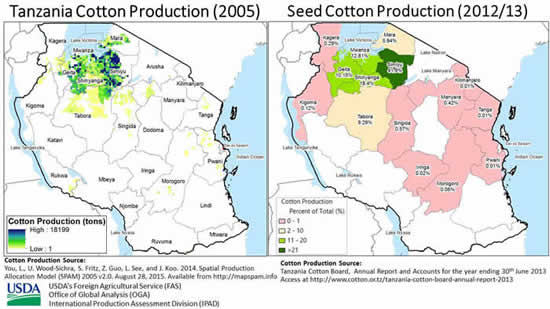 Tanzania's major cotton production zone