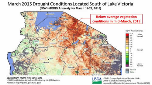 March 2015 drought conditions south of Lake Victoria