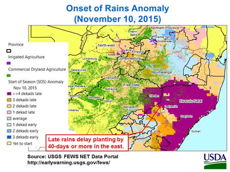 Figure 2. Planting delayed by 40-days or more from delayed rains.