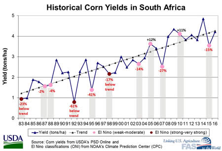 Figure 7. Corn yields during strong El Niño conditions (1981/82, 91/92, and 97/98)
