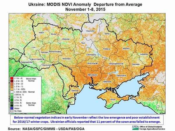 Below-normal vegetation indices in early November reflect the low emergence and poor establishment for 2016/17 winter crops.  Ukrainian officials reported that 11 percent of the sown area failed to emerge.